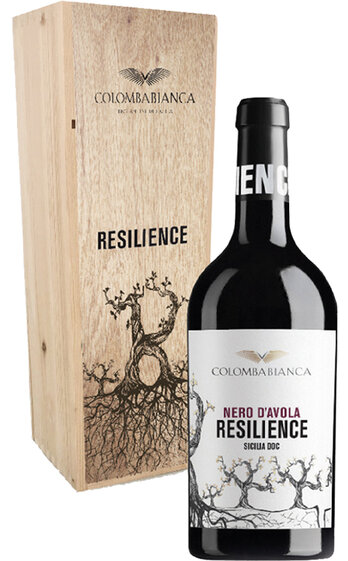 Resilience Nero d'Avola Sicilia DOC Magnum